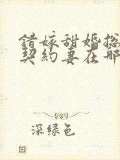 错嫁甜婚总裁的契约妻在哪看