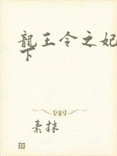 龙王令之妃临城下