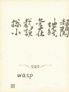 总裁爹地超给力小说在线阅读