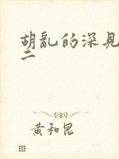 胡乱的深见君第二