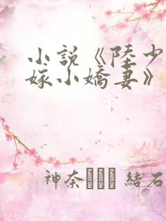 小说《陆少的替嫁小娇妻》