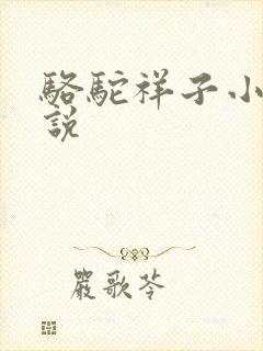 骆驼祥子小说小说