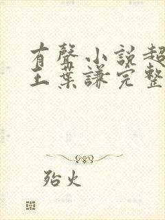 有声小说超级兵王叶谦完整版听