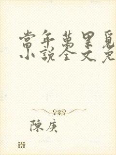 当年万里觅封侯小说全文免费阅读