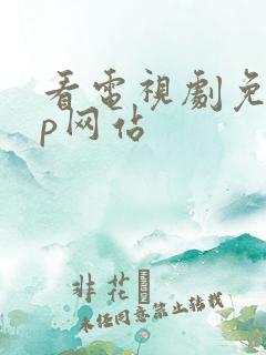 看电视剧免vip网站