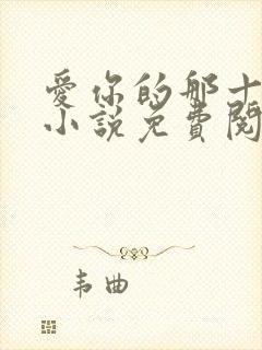 爱你的那十一年小说免费阅读