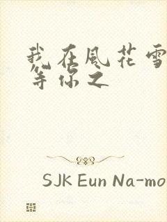 我在风花雪月里等你之