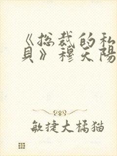 《总裁的私有宝贝》穆天阳丁宛情