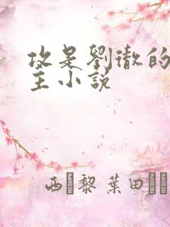 攻是刘彻的双男主小说