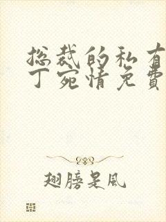 总裁的私有宝贝丁宛情免费阅读