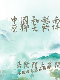 中国和越南用什么聊天软件