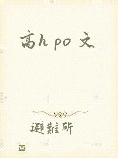 高h po 文
