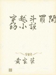 穿越斗罗开后宫的小说