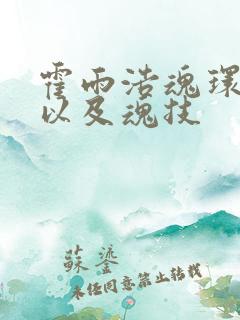 霍雨浩魂环配置以及魂技