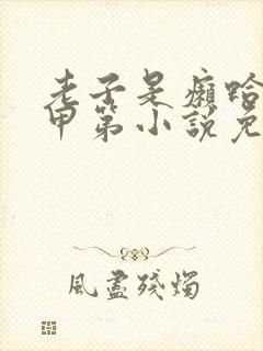 老子是癞蛤蟆赵甲第小说免费阅读全文无删减