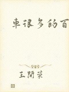 车很多的百合文
