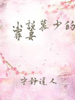 小说慕少的隐婚罪妻