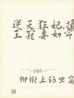 逆天狂妃,摄政王宠妻如命全文免费