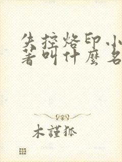 失控烙印小说原著叫什么名字