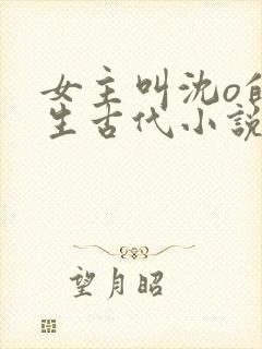 女主叫沈o的重生古代小说