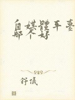 自媒体平台赚钱哪个好