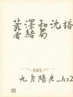 萧泽和沈榕宁原著结局