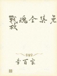 战魂全集免费播放