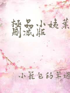 极品小姨叶凡无删减版