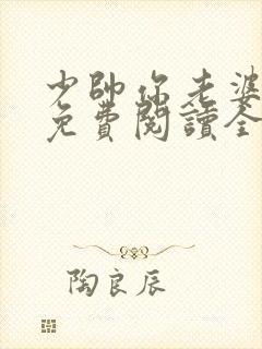 少帅你老婆又跑免费阅读全文