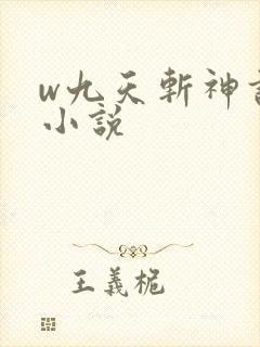 w九天斩神诀》小说