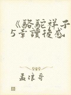 《骆驼祥子》15章读后感