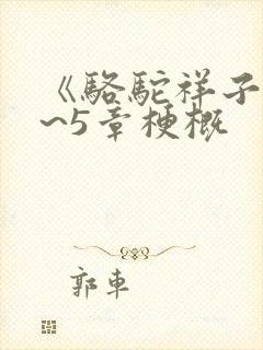 《骆驼祥子》1~5章梗概