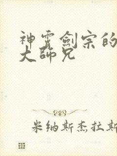 神霄剑宗的废柴大师兄