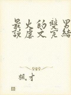 最火的双男主小说虐文完结受推文