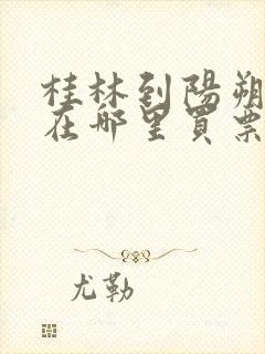 桂林到阳朔坐船在哪里买票