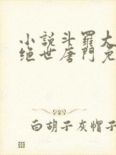 小说斗罗大陆2绝世唐门免费版