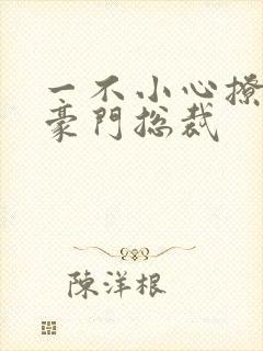 一不小心撩了个豪门总裁