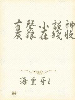 有声小说神墓大灰狼在线收听