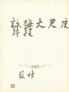 咏梅大尺度床戏片段