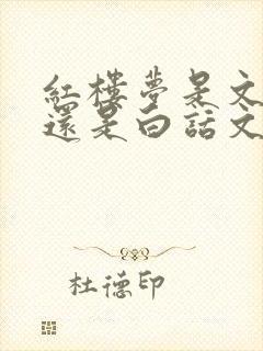 红楼梦是文言文还是白话文