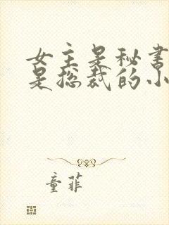 女主是秘书男主是总裁的小说