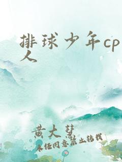 排球少年cp同人