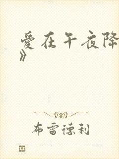 爱在午夜降临前》