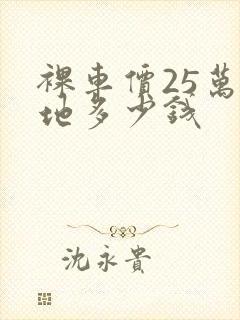 裸车价25万落地多少钱