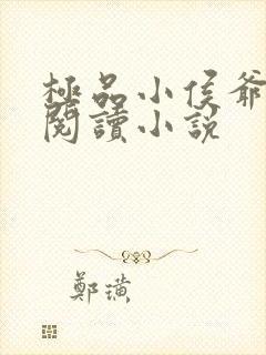 极品小侯爷全文阅读小说