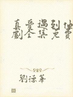 真爱遇到他电视剧全集免费观看