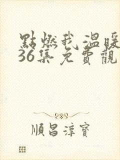 点燃我温暖你第36集免费观看
