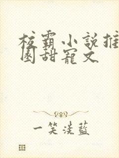 校霸小说推荐校园甜宠文