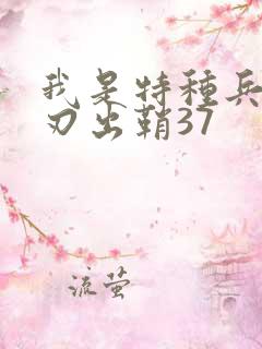 我是特种兵之利刃出鞘37