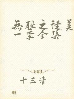 无耻之徒美版第一季全集